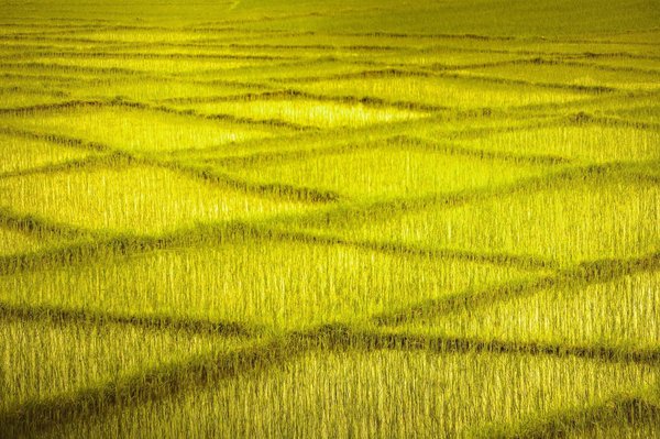 How does upgrading the exhaust system impact the safety and performance of a vehicle?